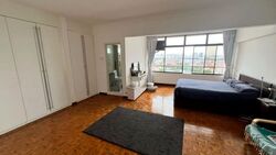 Orchard Road (D9), Apartment #501608231
